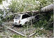 11 июня 2007 года ураган обрушился на Амурскую область. Порывы шквалистого…