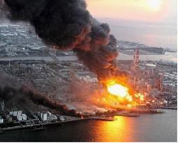 11 марта 2011 года в результате сильнейшего землетрясения в Японии и…