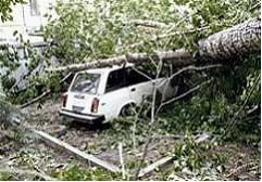 11 июня 2007 года ураган обрушился на Амурскую область. Порывы шквалистого…